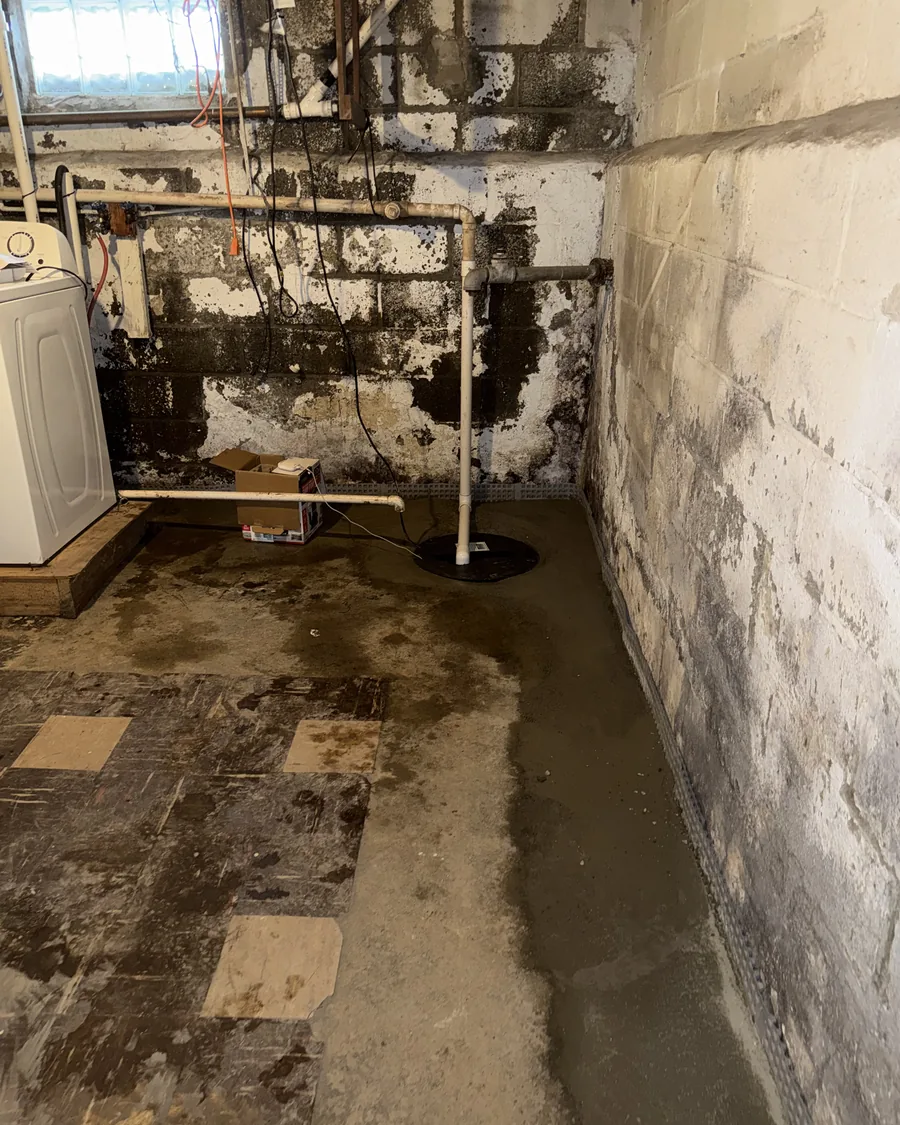 Block foundation wall with efflorescence above a newly installed drainage track