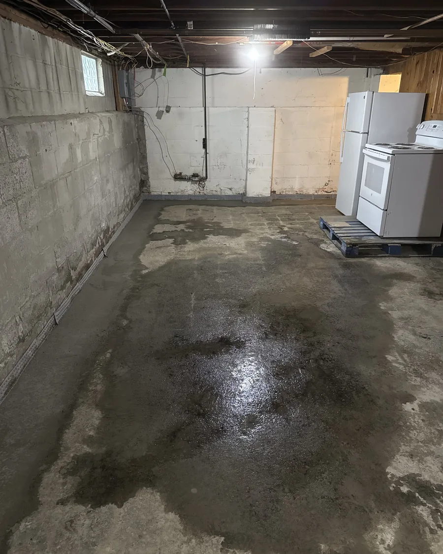 Damp spreading across a basement floor from the base of the wall