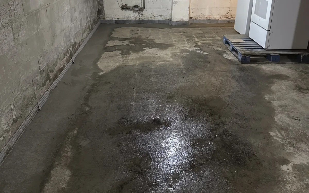 Standing damp across a basement floor, spreading out from the base of the wall